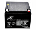 Ritar RT12240 12V 24AH Battery